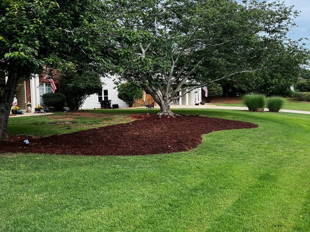 A mulched bed and curving driveway at a North Lanier property
