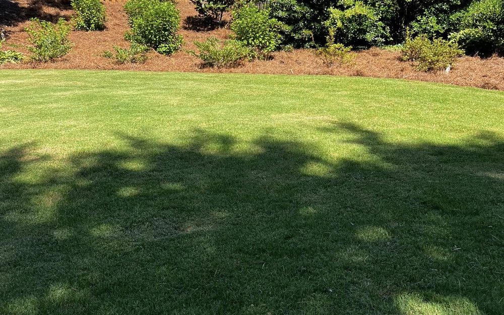 Pine Straw & Bed Refresh