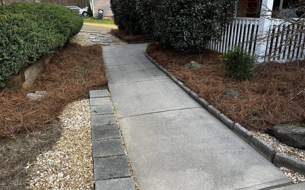 Yard Cleanup